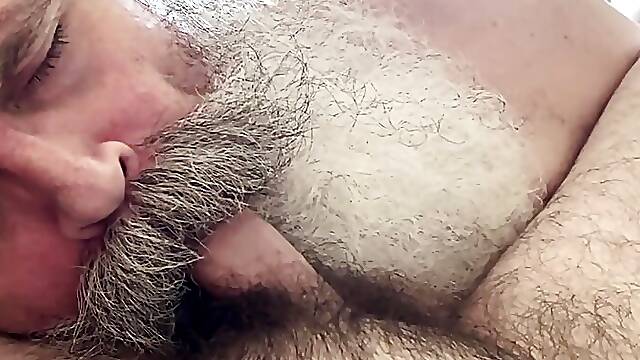 Big Bearded Daddy Sucks Cub Cock