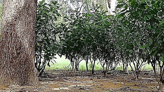 Alone in forest &amp; horny, take bath