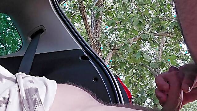 Hairy bear gives me a cruising handjob until I cum