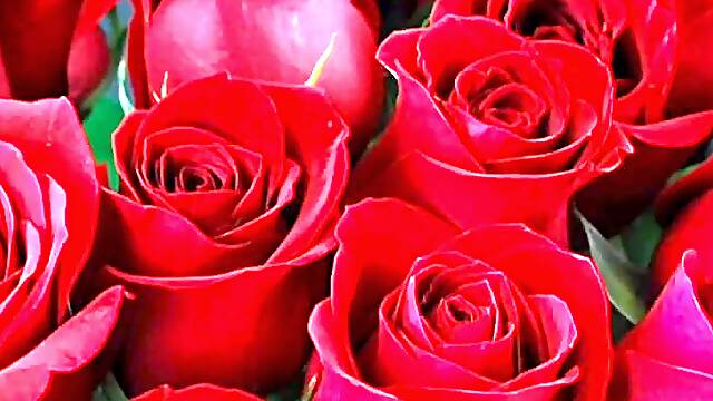 Bangla choto golpo new hot bangla choti golpo full story in Bangla