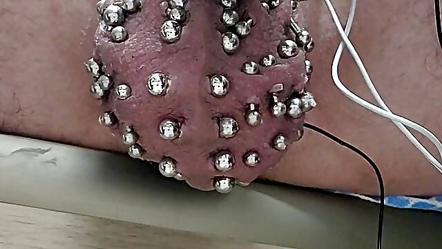 Double 00 prince albert piercings, heavily pierced scrotum estim stimulation until thick cum flows