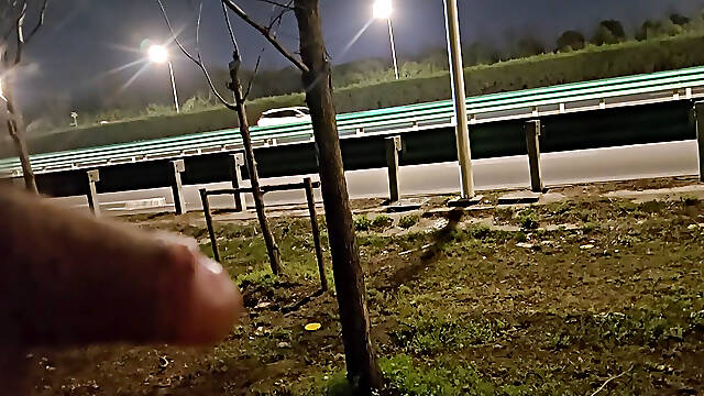 Show my cock to the driver himself