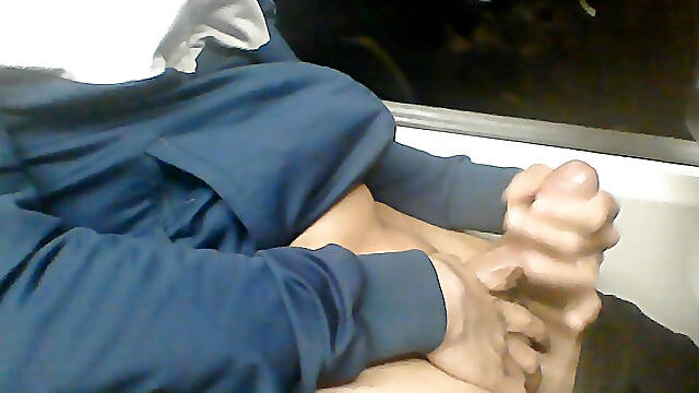Public solo play in the train with my cock