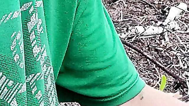 Cock in the palm grove