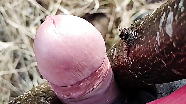 Chubby guy decided to take a break from work and fuck a tree