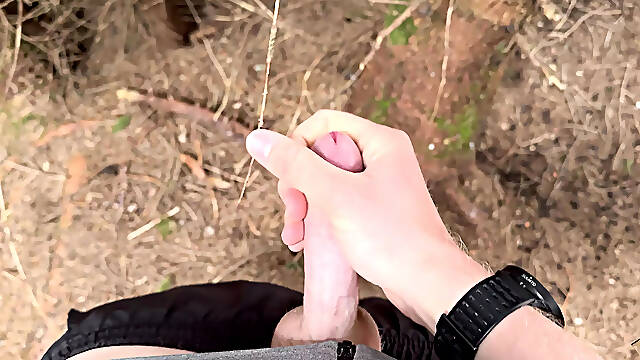 Jerkin in the forest during a hike