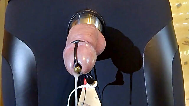 Electrostimulation - milking cum
