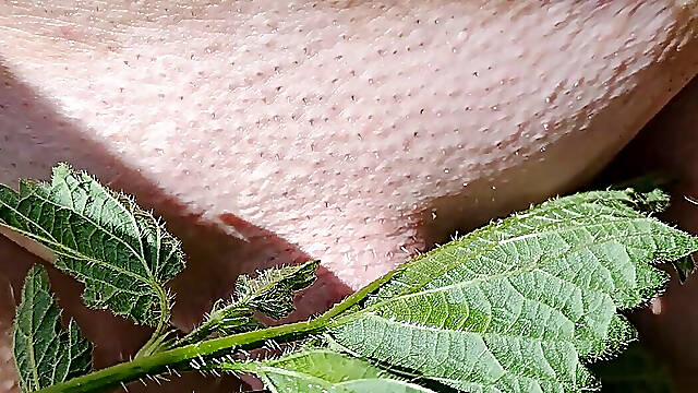 Stinging nettles, such a delicious feeling