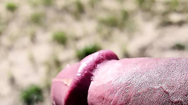 Hot hard thick ringed clamped mushroom tipped cock throbbing outdoor pissing