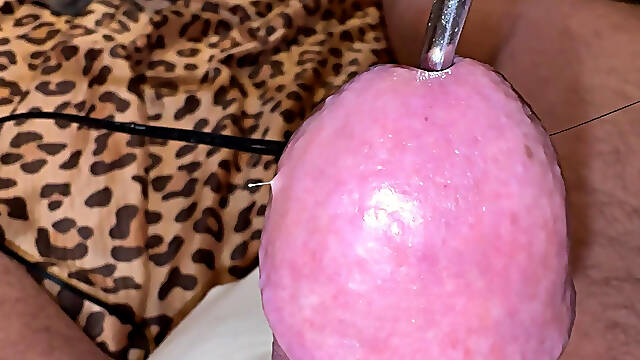 Needles through the hard glans!