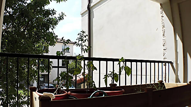 Adam Jaxx on the Apartment Balcony In Public!