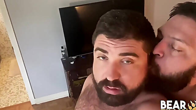 BEARFILMS - Hairy and bearded bears bareback hardcore