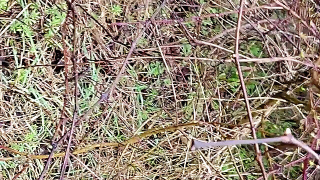 Outdoor Piss in the Rain
