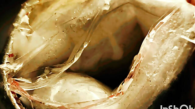 Pov homemade sex toy for man masturbate