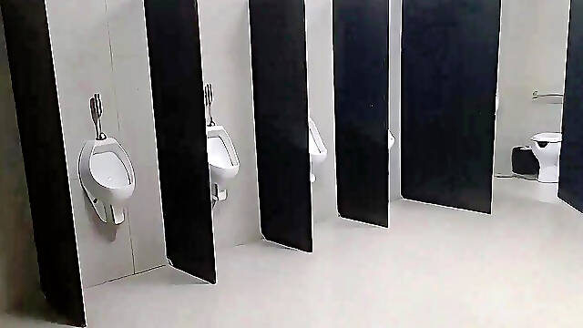 I Almost Got Caught by the Security Guard Exposing Myself in the Public Restroom.