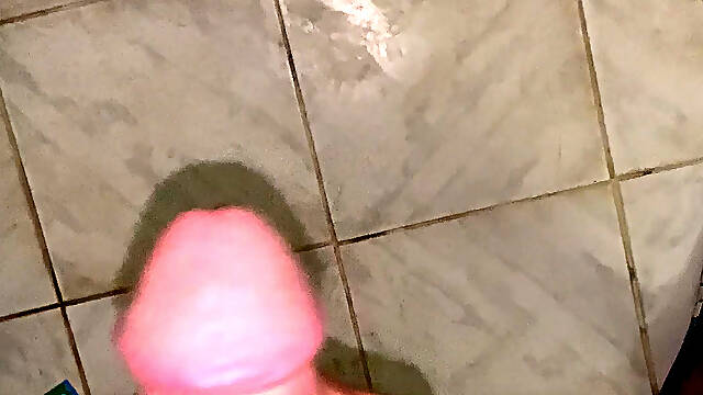 Jerking in a Public Toilet