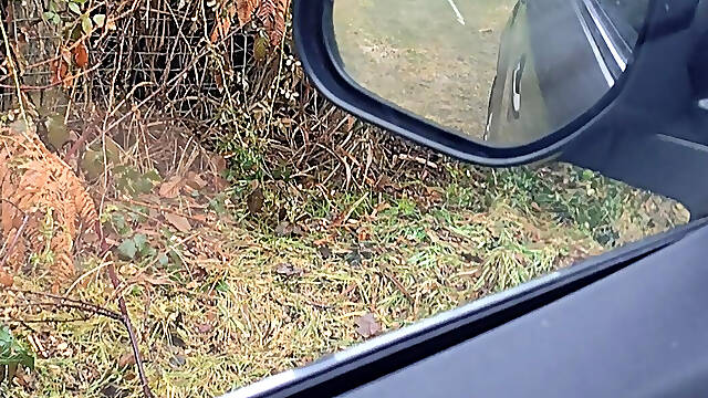 Syringe in the car