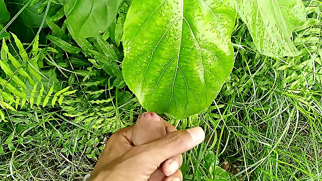 Big Cock Cumshot in Natural Garden, Outdoor Cumshot