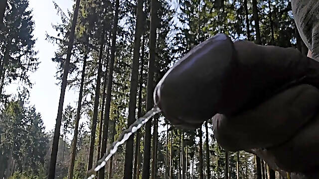 Pissing everywhere, in the forest, on the sofa, in the sink