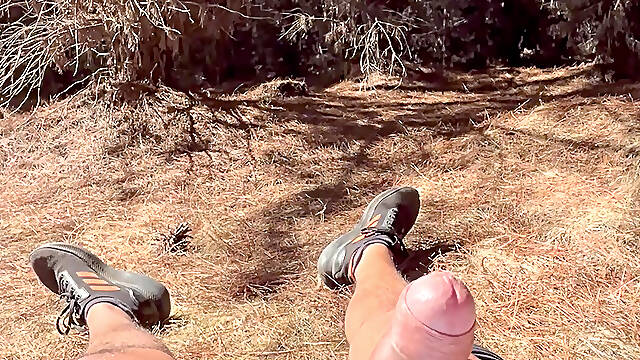 POV Secret Forest Alone