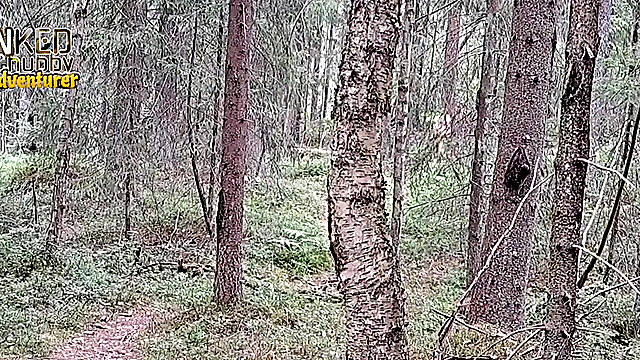Naked Hike in Finnish Forrest