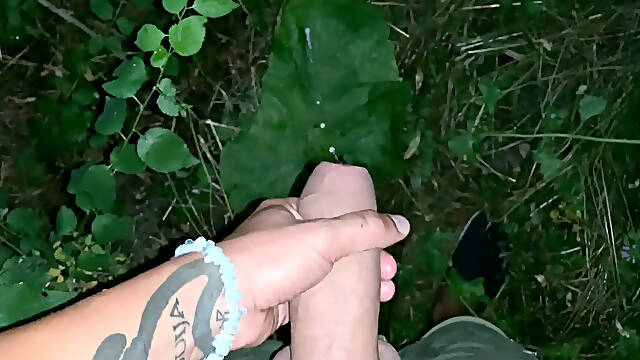 Night Cumshot on a Big Leaf Outdoor