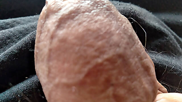 Large penis at its erect point