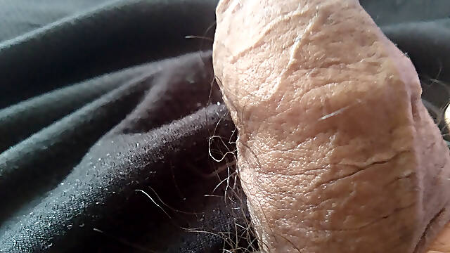 A hard penis wants you to give it a blowjob.